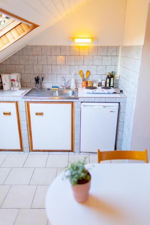 Studio Cocon Sous Les Toits De Jaures Belfort Zewnętrze zdjęcie
